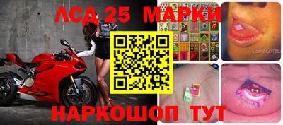 ПСИЛОЦИБИНОВЫЕ ГРИБЫ Гай