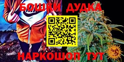 шишки Азнакаево