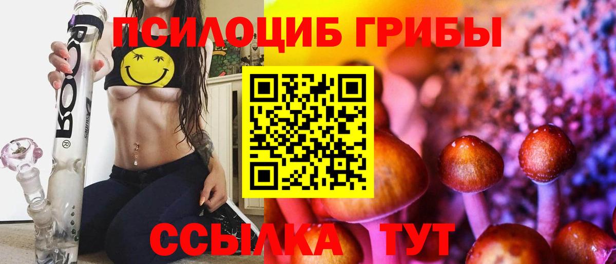 Галлюциногенные грибы Psilocybine cubensis  Вход с VPN  Сорочинск  Псилоцибиновые грибы MAGIC MUSHROOMS 