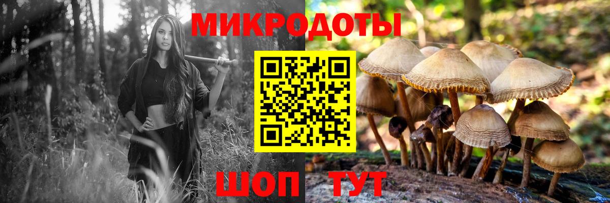 Псилоцибиновые грибы GOLDEN TEACHER Сорочинск