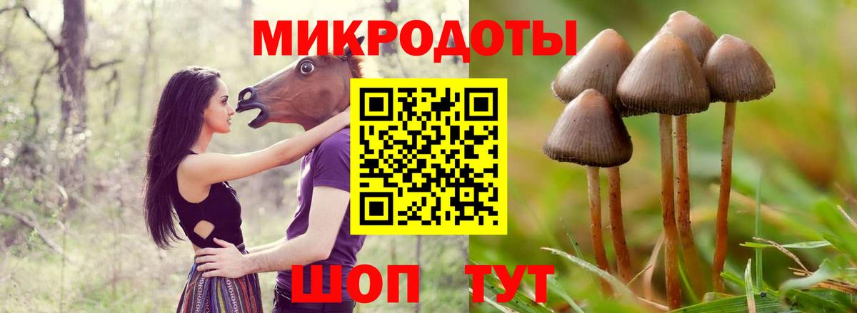 Галлюциногенные грибы GOLDEN TEACHER Сорочинск
